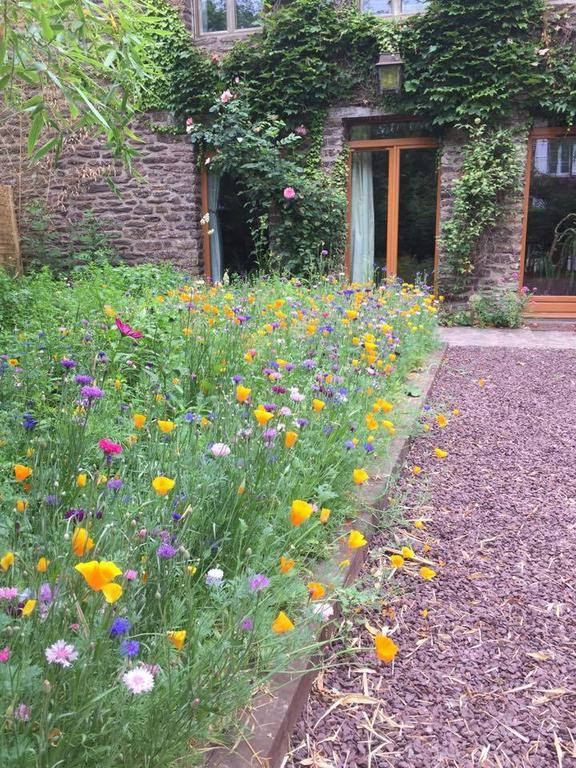 Gite du charme en broceliande Mauron Exterior foto